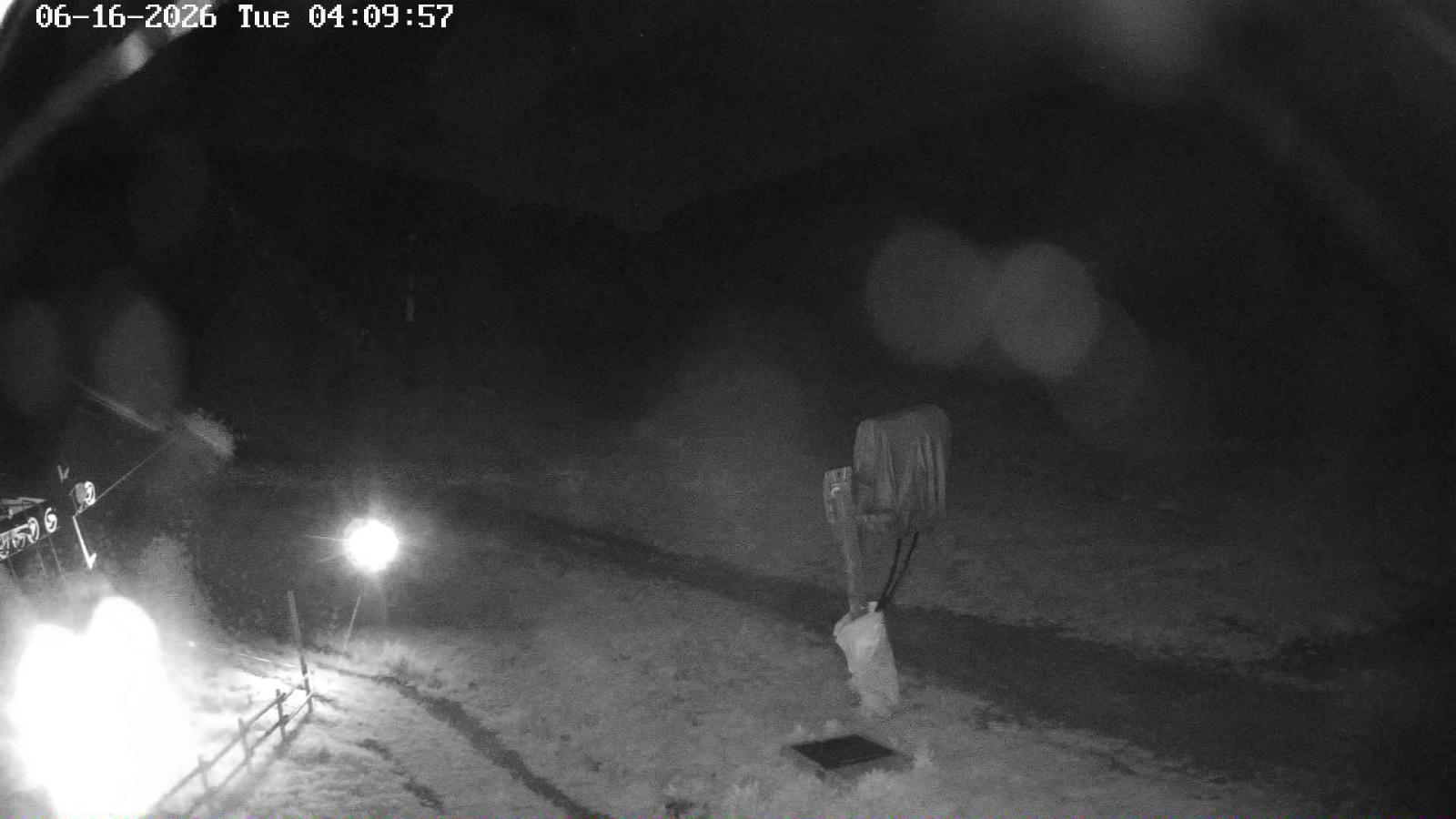 Webcam Masella: Coma Oriola - 1950m.