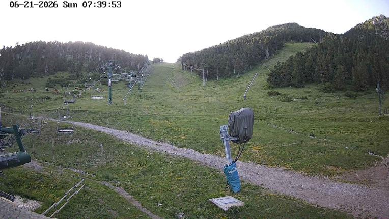 Webcam Masella: Coma Oriola - 1950m.
