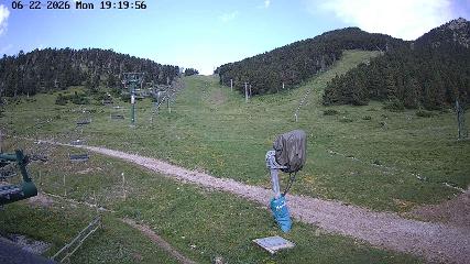 Bild des Benutzerberichts in Masella