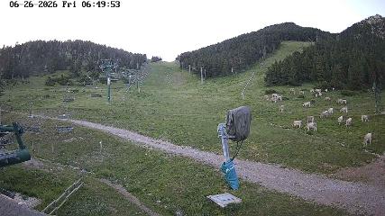 Masella: Coma Oriola - 1950m. (masella.com)