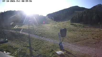User report image in Masella