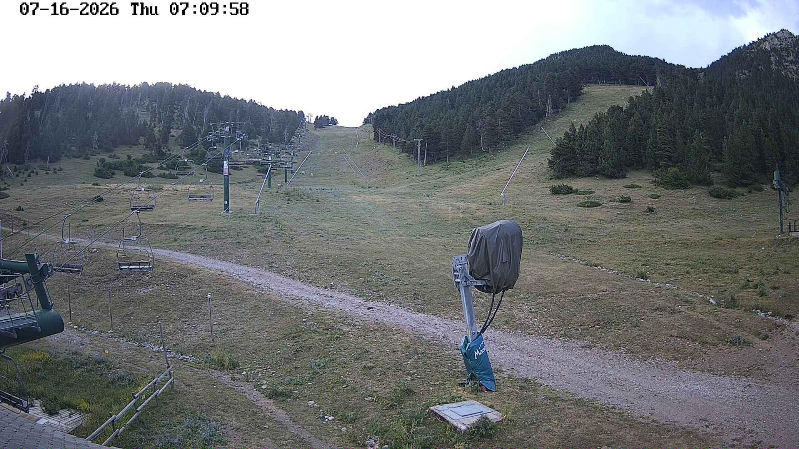 Webcam Masella: Coma Oriola - 1950m.