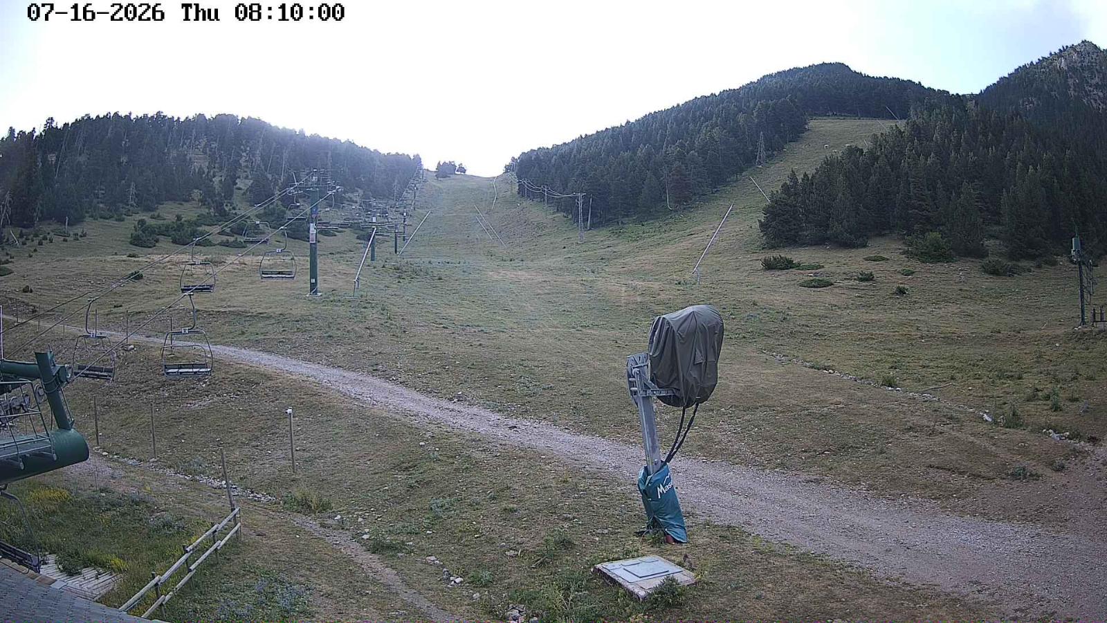 Webcam Masella: Coma Oriola - 1950m.
