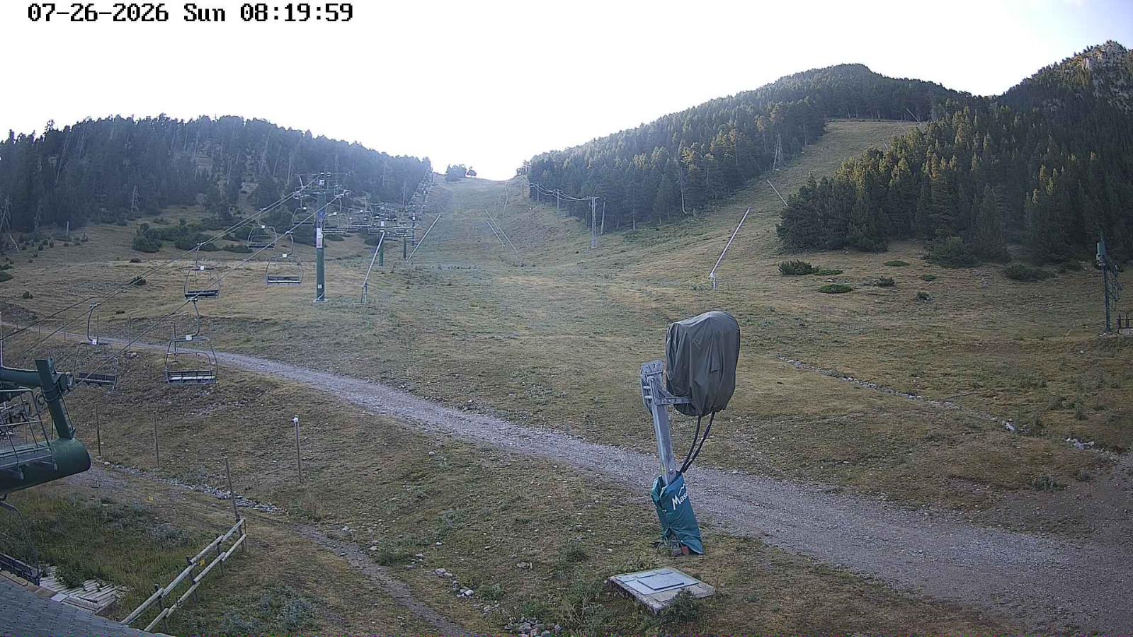 Webcam Masella: Coma Oriola - 1950m.