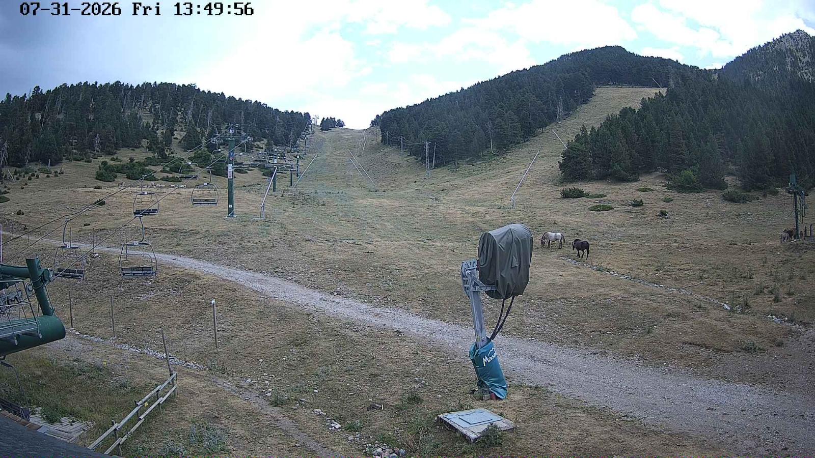 Webcam Masella: Coma Oriola - 1950m.