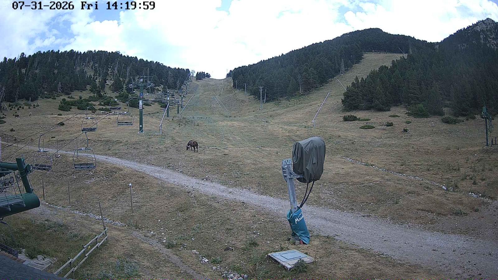 Webcam Masella: Coma Oriola - 1950m.