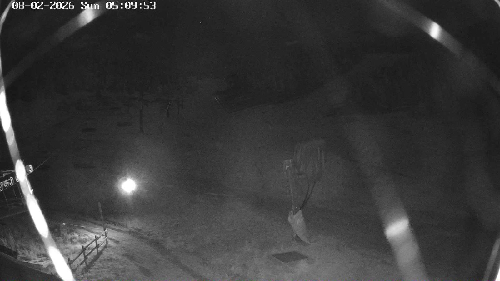 Webcam Masella: Coma Oriola - 1950m.