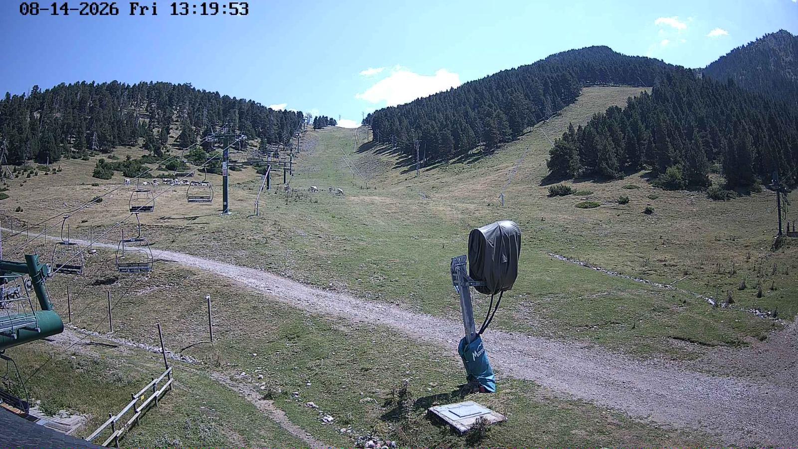 Webcam Masella: Coma Oriola - 1950m.