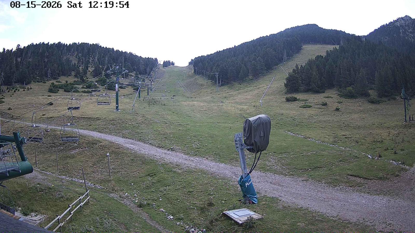 Webcam Masella: Coma Oriola - 1950m.