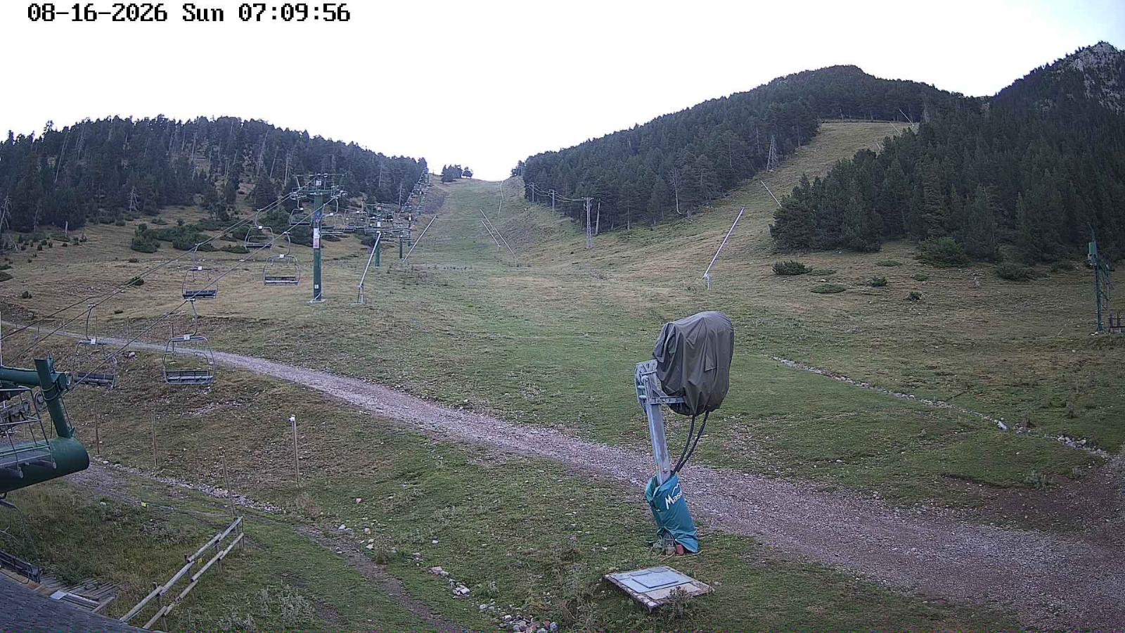 Webcam Masella: Coma Oriola - 1950m.
