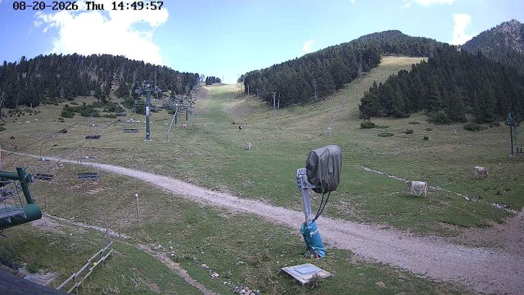 Webcam Masella: Coma Oriola - 1950m.