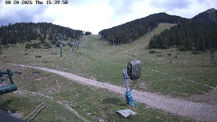 User report image in Masella