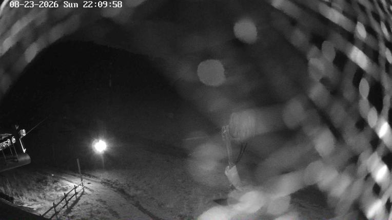 Webcam Masella: Coma Oriola - 1950m.