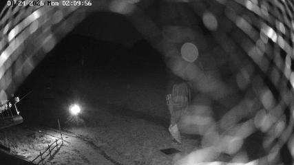 Masella webcam