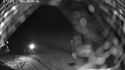 Masella webcam