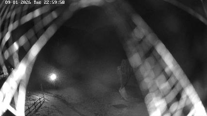 Masella webcam