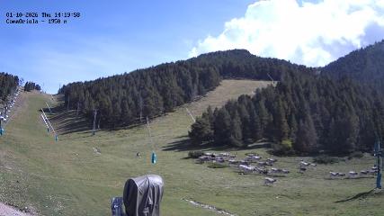 Masella: Coma Oriola - 1950m. (masella.com)