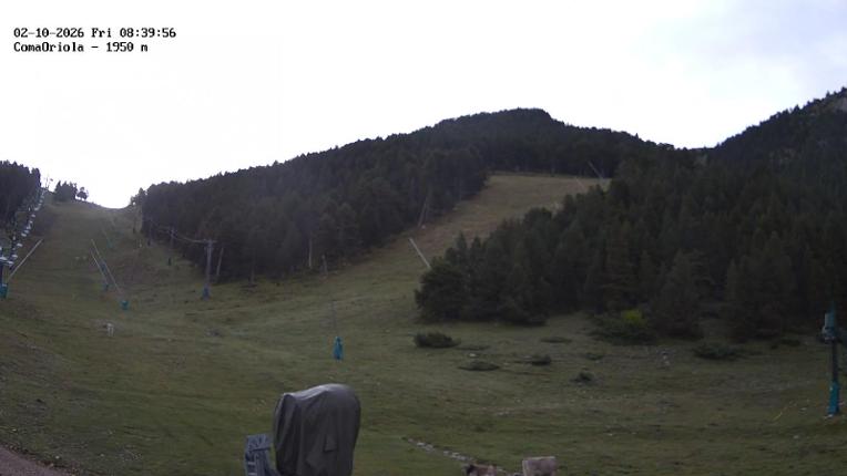 Webcam Masella: Coma Oriola - 1950m.