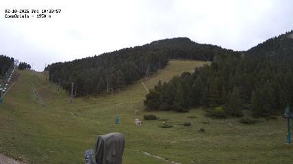 Masella webcam