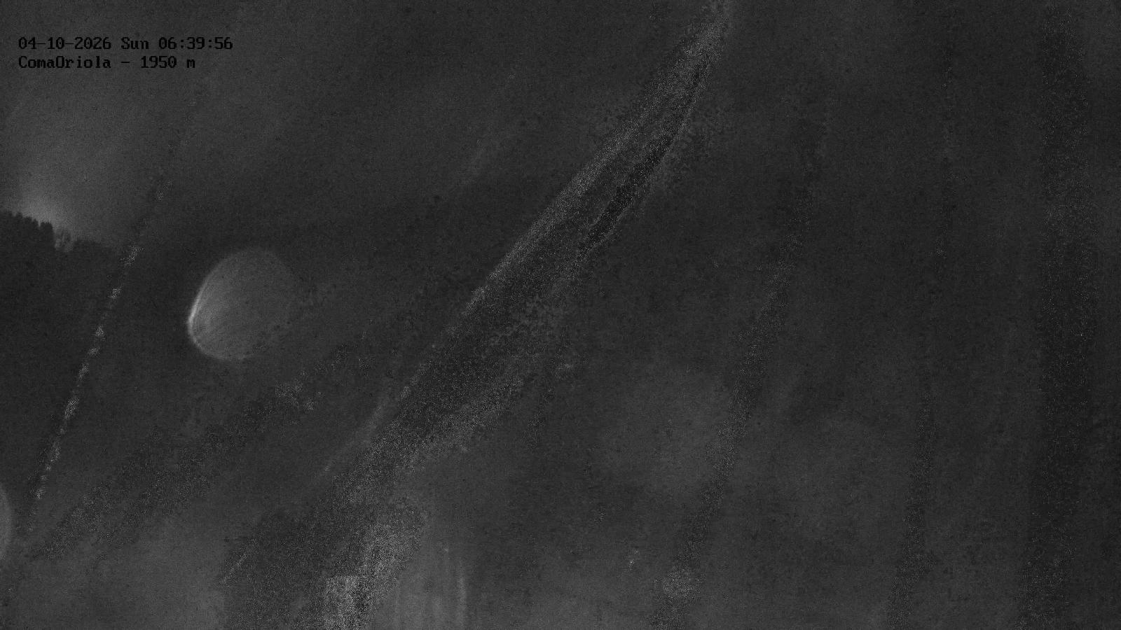 Webcam Masella: Coma Oriola - 1950m.