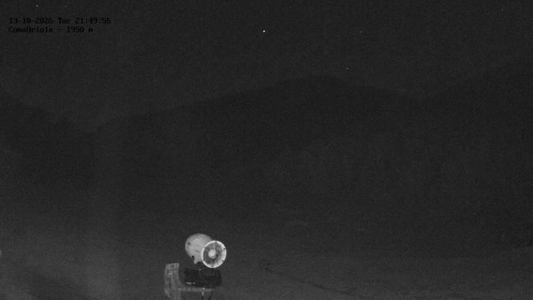 Webcam Masella: Coma Oriola - 1950m.