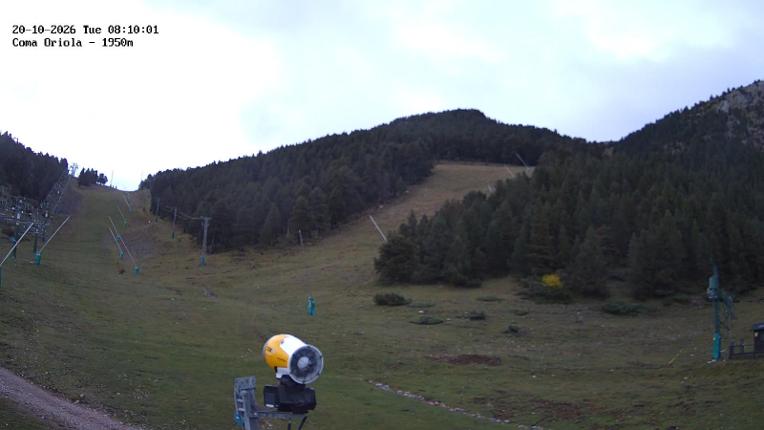 Webcam Masella: Coma Oriola - 1950m.