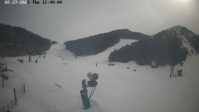 Webcam Masella: Coma Oriola - 1950m.