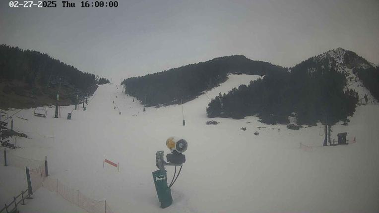 Webcam Masella: Coma Oriola - 1950m.