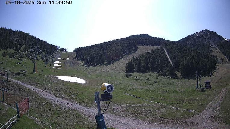 Webcam Masella: Coma Oriola - 1950m.