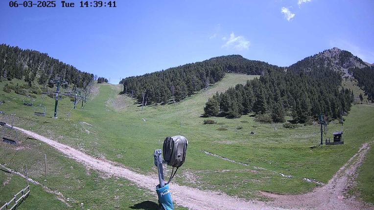 Webcam Masella: Coma Oriola - 1950m.