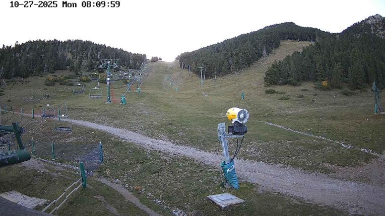 Webcam Masella: Coma Oriola - 1950m.