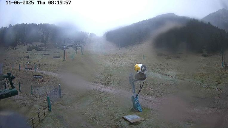 Webcam Masella: Coma Oriola - 1950m.