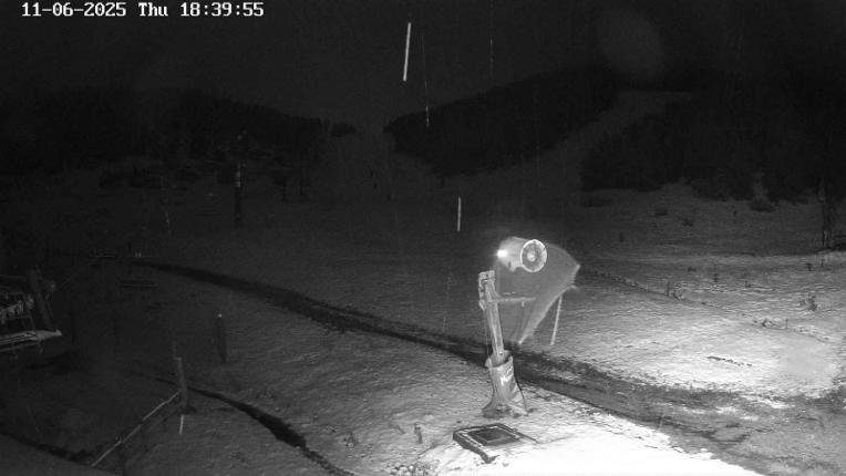 Webcam Masella: Coma Oriola - 1950m.