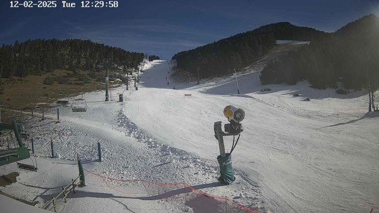 Webcam Masella: Coma Oriola - 1950m.