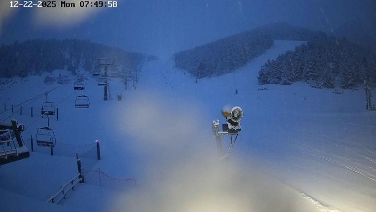 Webcam Masella: Coma Oriola - 1950m.