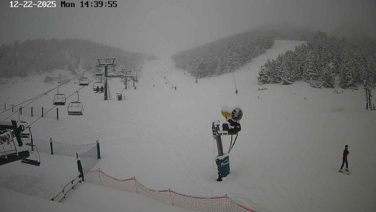 Webcam Masella: Coma Oriola - 1950m.