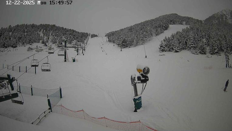 Webcam Masella: Coma Oriola - 1950m.
