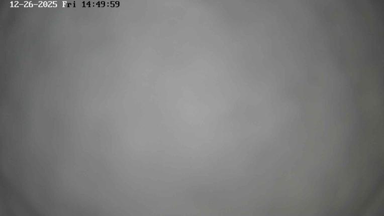 Webcam Masella: Coma Oriola - 1950m.