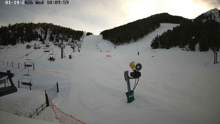 Webcam Masella: Coma Oriola - 1950m.