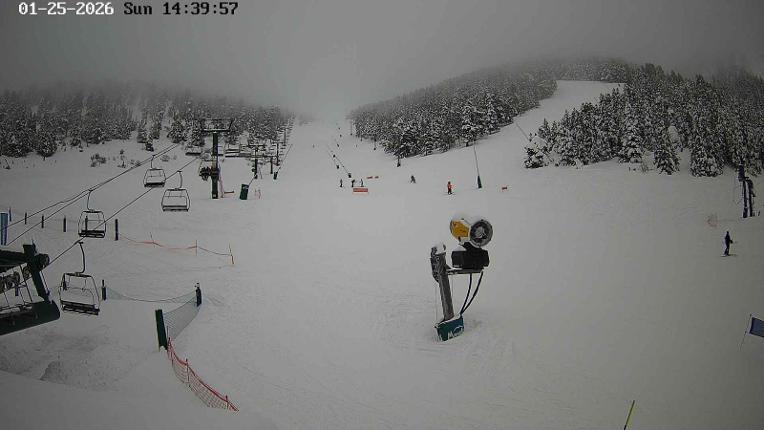 Webcam Masella: Coma Oriola - 1950m.