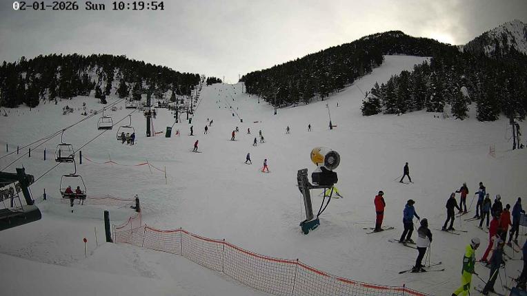Webcam Masella: Coma Oriola - 1950m.