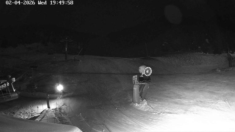 Webcam Masella: Coma Oriola - 1950m.
