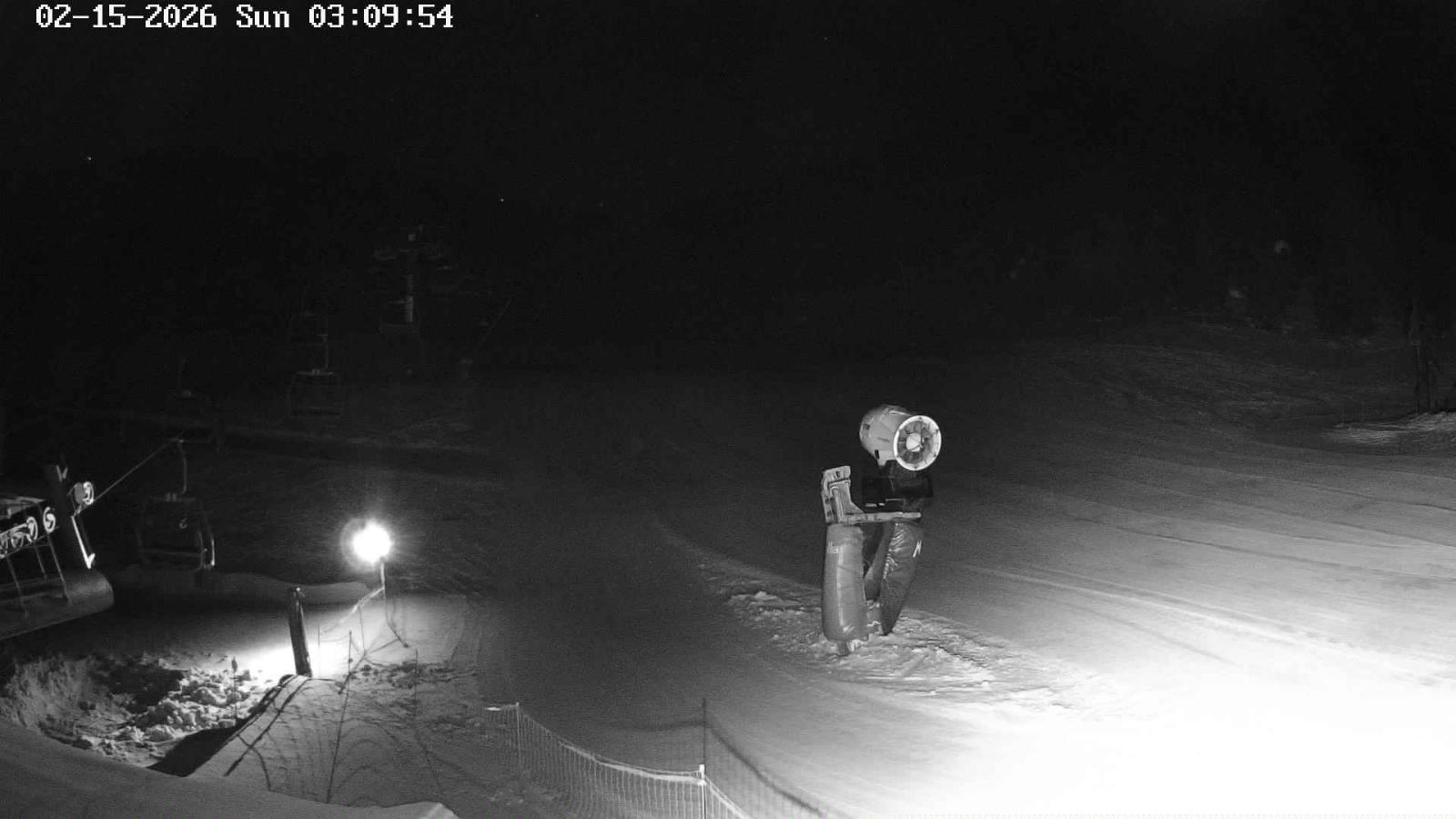 Webcam Masella: Coma Oriola - 1950m.