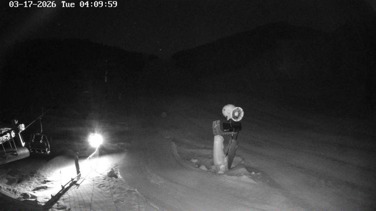 Webcam Masella: Coma Oriola - 1950m.