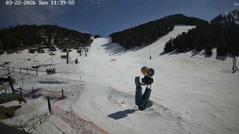 Webcam Masella: Coma Oriola - 1950m.