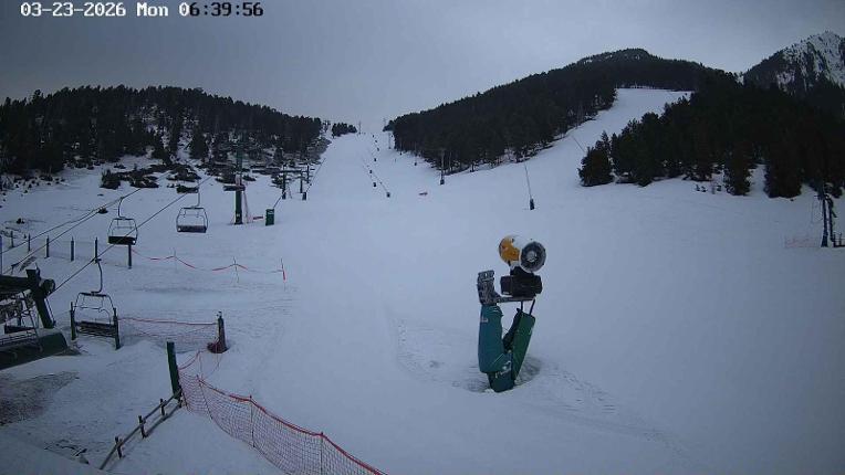 Webcam Masella: Coma Oriola - 1950m.