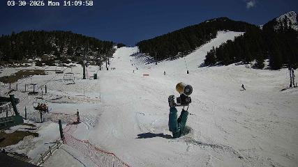 Masella: Coma Oriola - 1950m. (masella.com)