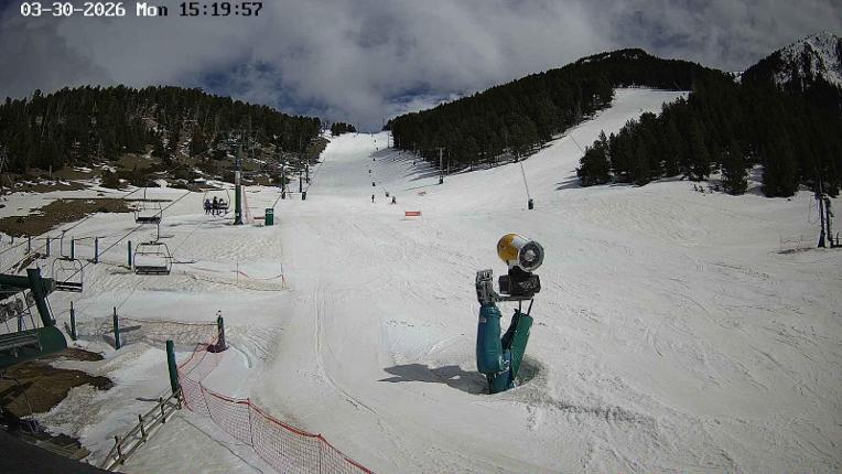 Webcam Masella: Coma Oriola - 1950m.