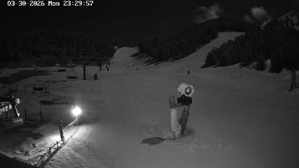 Masella: Coma Oriola - 1950m. (masella.com)