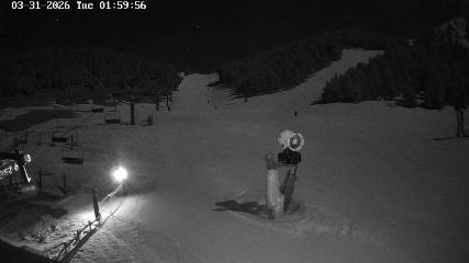 Masella: Coma Oriola - 1950m. (masella.com)